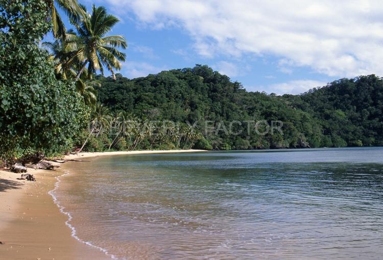 Island;fiji;blue water;sky;palm trees;sand;shore line